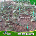 Agricultura escalada de tomate / pepino Plant Support Net